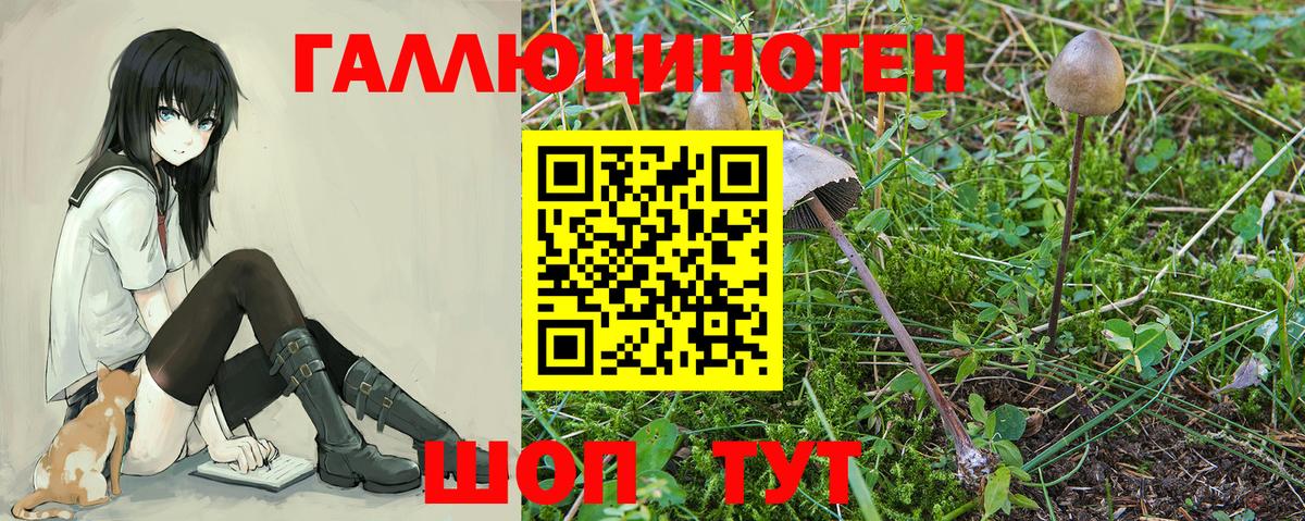 Красноармейск  Галлюциногенные грибы GOLDEN TEACHER  Вход с VPN 